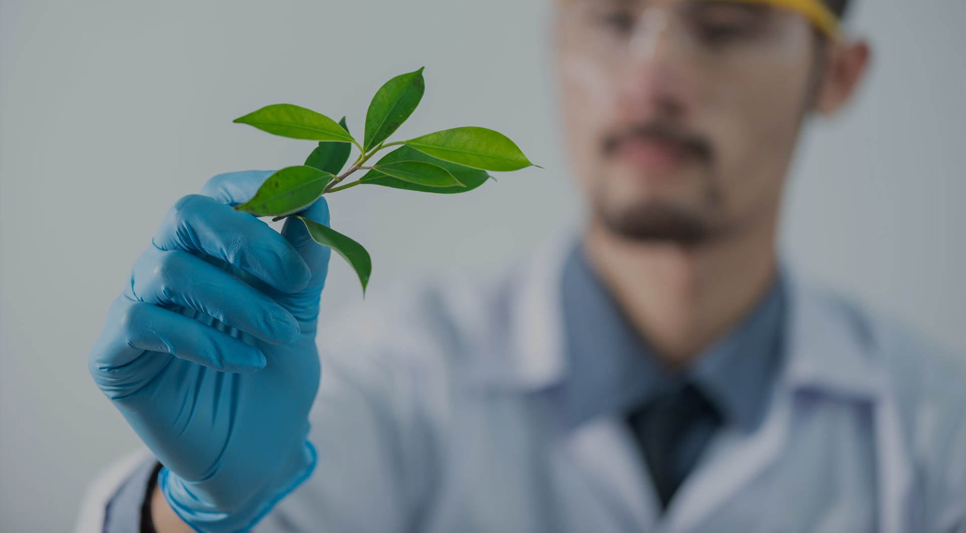 头号玩家·(龙8-long8)唯一官方网站