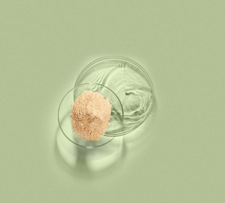 头号玩家·(龙8-long8)唯一官方网站