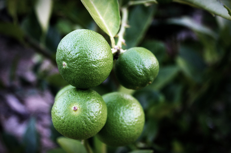 头号玩家·(龙8-long8)唯一官方网站