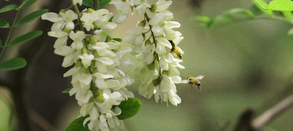 头号玩家·(龙8-long8)唯一官方网站