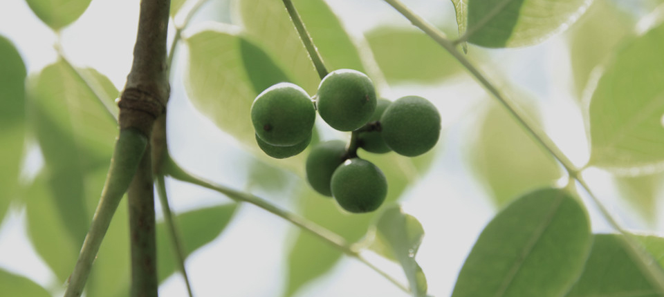 头号玩家·(龙8-long8)唯一官方网站