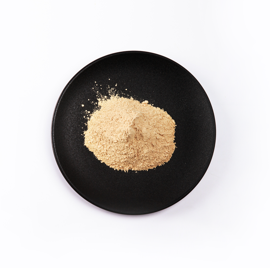 头号玩家·(龙8-long8)唯一官方网站