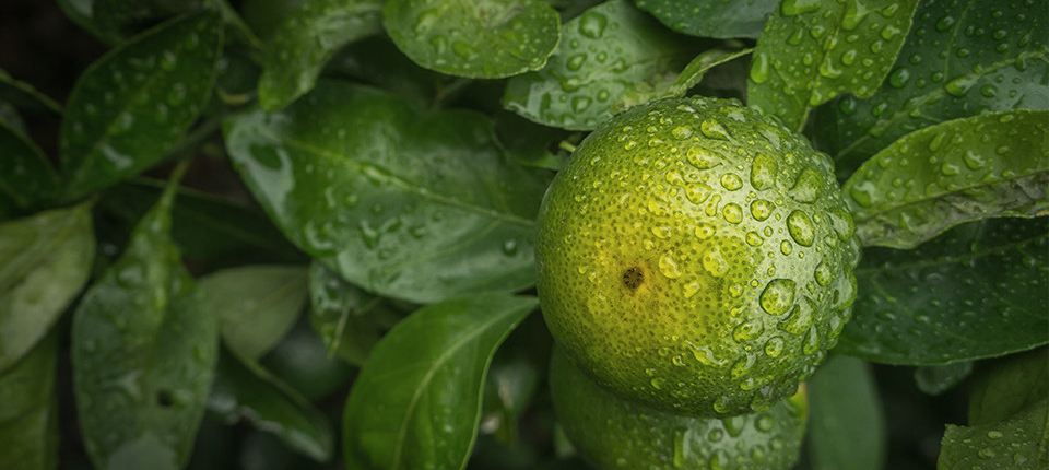 头号玩家·(龙8-long8)唯一官方网站